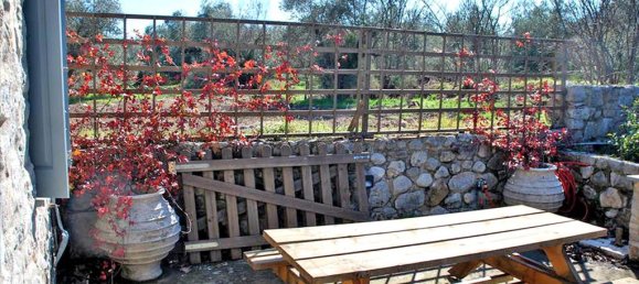 3 غرف نوم عقار تجاري في Boeotia, Greece رقم 6932 4