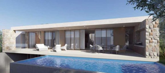 4 chambres Propriété commerciale à Pegeia, Cyprus No. 18599 10