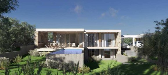 4 chambres Propriété commerciale à Pegeia, Cyprus No. 18599 6