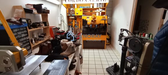 Propiedad comercial en Poce-sur-Cisse, France No. 79864 2