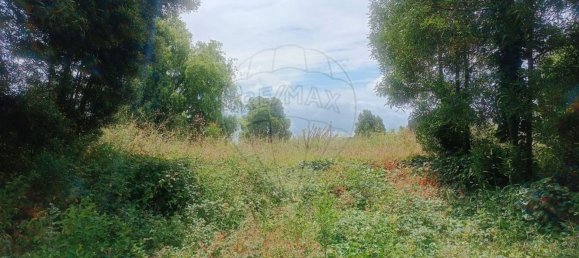  قطعة أرض في Cantanhede, Portugal 16514متر مربع رقم 72648 28