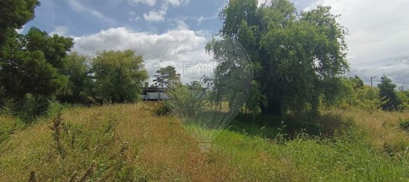  قطعة أرض في Cantanhede, Portugal 16514متر مربع رقم 72648 30