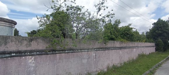  قطعة أرض في Cantanhede, Portugal 16514متر مربع رقم 72648 35