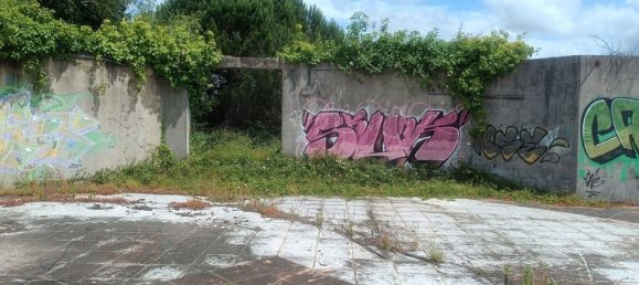  قطعة أرض في Cantanhede, Portugal 16514متر مربع رقم 72648 31