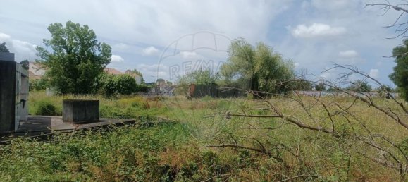  قطعة أرض في Cantanhede, Portugal 16514متر مربع رقم 72648 27