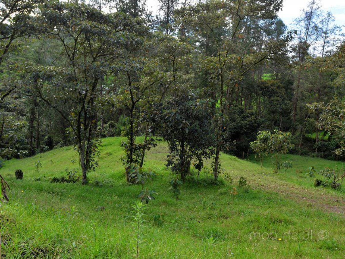  Land in Antioquia, Colombia No. 96