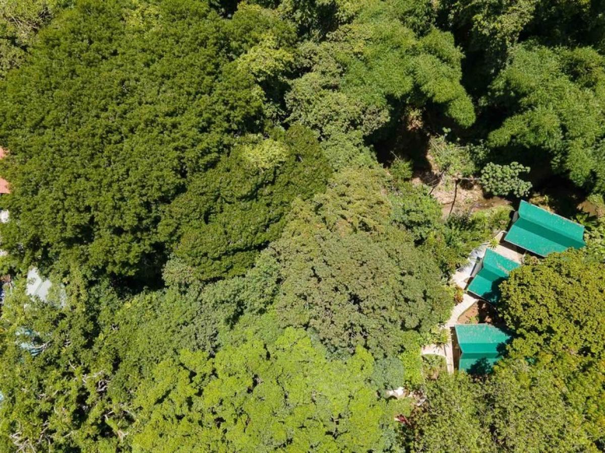 Дом с 2 спальнями в Савегре, Коста-Рика № 2000