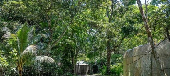 Дом с 2 спальнями в Савегре, Коста-Рика № 2000 6