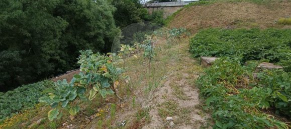 4 bedrooms House in Vila Real, Portugal No. 21586 27