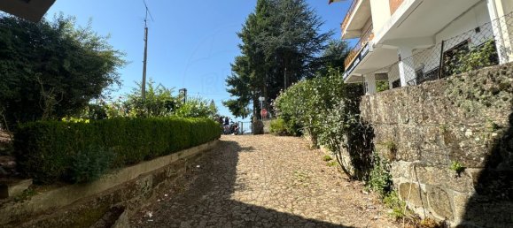 4 bedrooms House in Vila Real, Portugal No. 21586 21