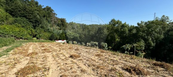 4 bedrooms House in Vila Real, Portugal No. 21586 3