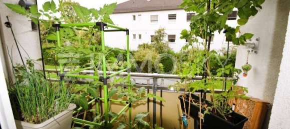 4 rooms Apartment in Linz, Austria No. 237641 5