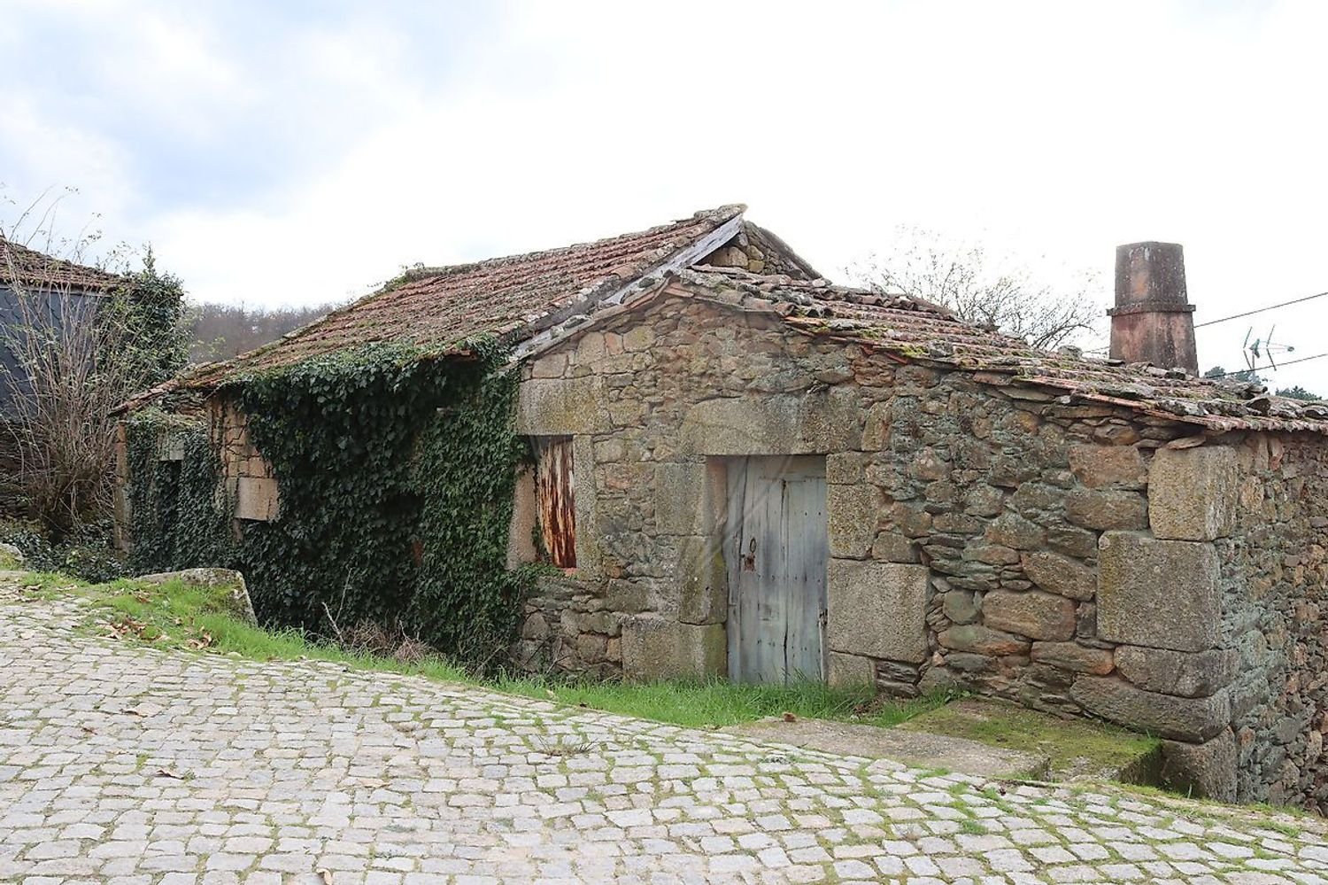 1 chambre Maison à Salzedas, Portugal No. 36366