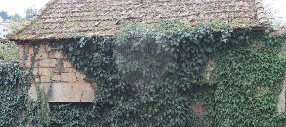 1 chambre Maison à Salzedas, Portugal No. 36366 4