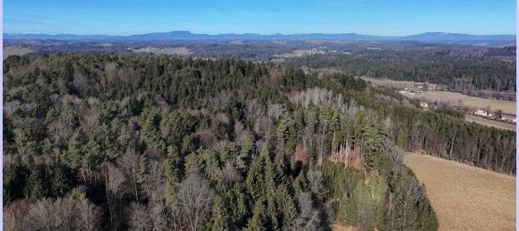 1073m² Land in Kirchberg an der Raab, Austria No. 232061 9