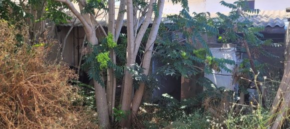 Grundstück in Alfajarin, Spain, Nr. 162275 7