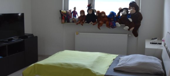 5 bedrooms House in Darmstadt-Dieburg, Germany No. 126853 31