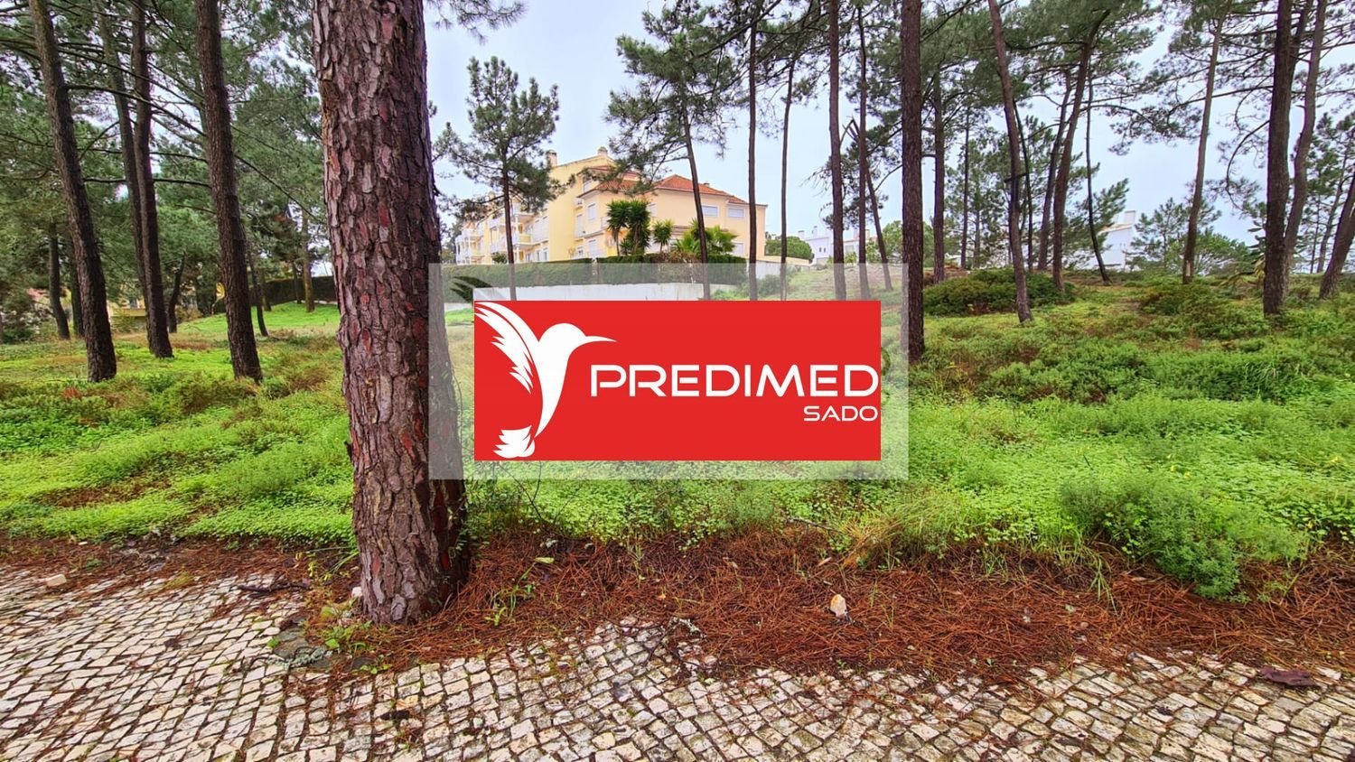 1553m² Land in Abrantes, Portugal No. 64697