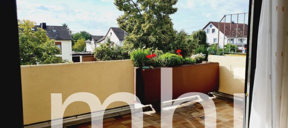 3 bedrooms Building in Rhein-Sieg, Germany No. 126893 5