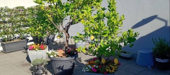 2 chambres Penthouse à Bergamo, Italy No. 373570 5