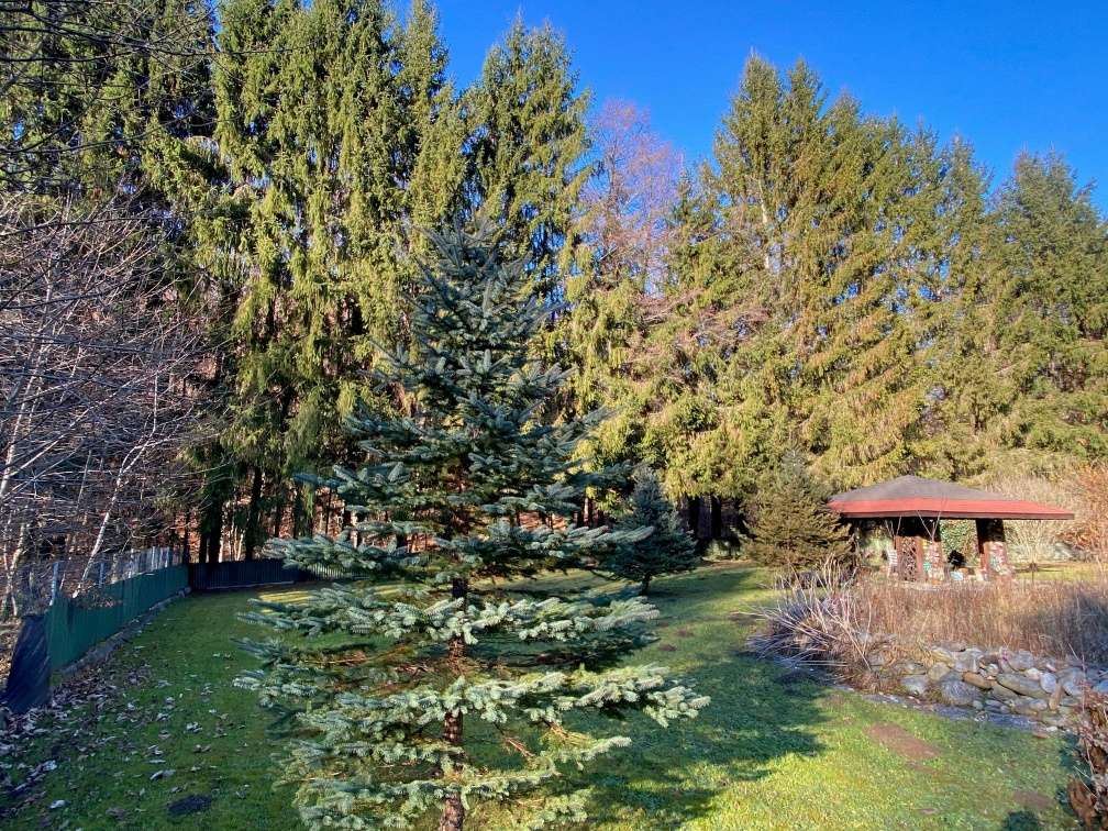  Land in Waltendorf, Austria No. 92742