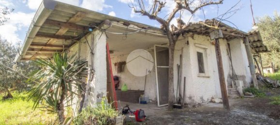 1 bedroom House in Palombara Sabina, Italy No. 64116 3