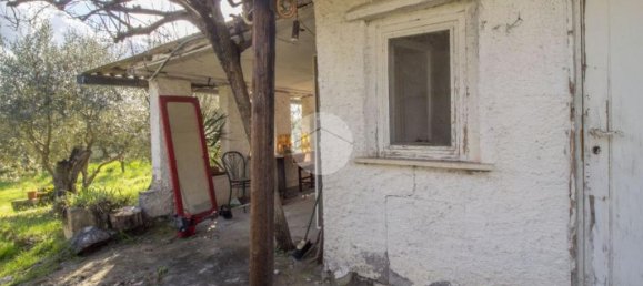 1 bedroom House in Palombara Sabina, Italy No. 64116 21