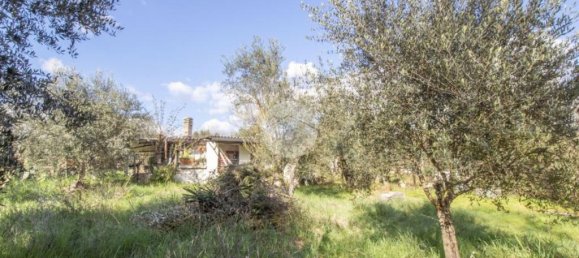 1 bedroom House in Palombara Sabina, Italy No. 64116 16