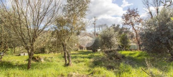 1 bedroom House in Palombara Sabina, Italy No. 64116 19