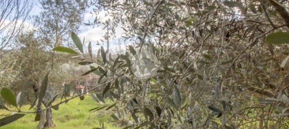 1 bedroom House in Palombara Sabina, Italy No. 64116 18