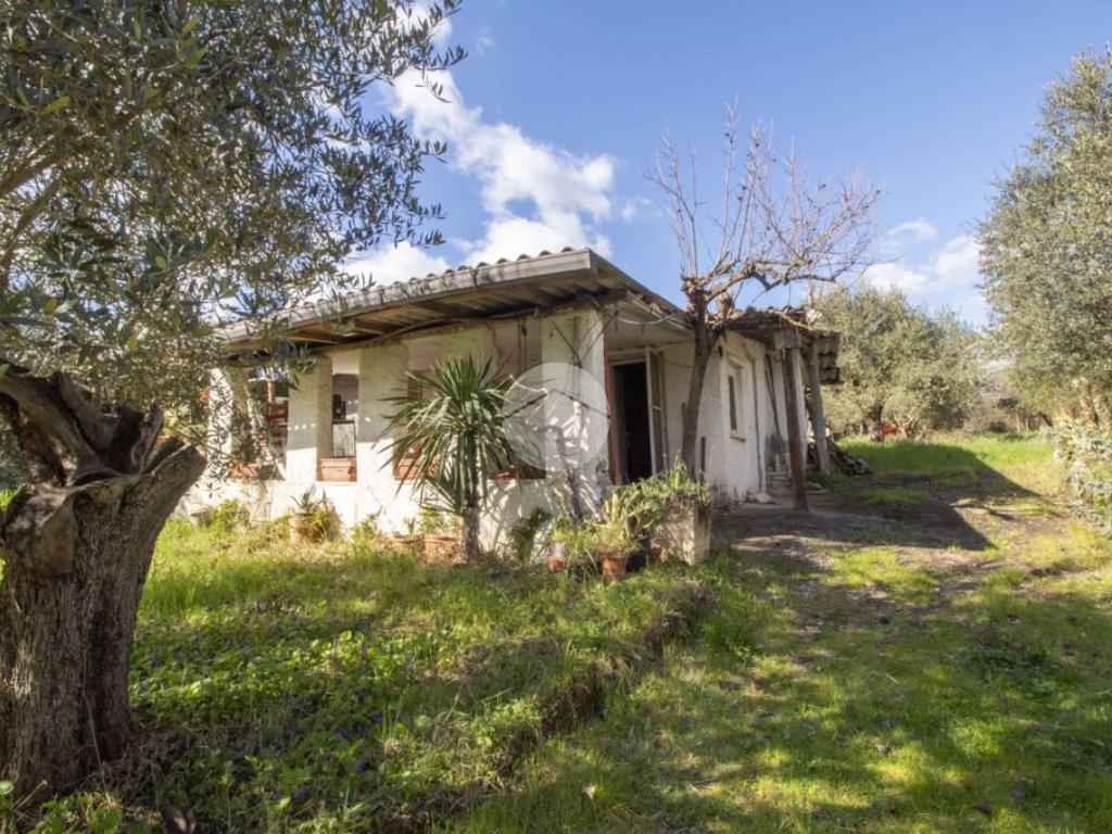 1 bedroom House in Palombara Sabina, Italy No. 64116