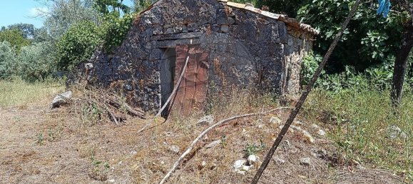 4 غرف نوم منزل في Ansiao, Portugal رقم 171033 9