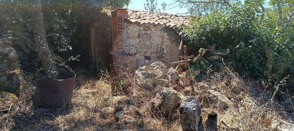 4 غرف نوم منزل في Ansiao, Portugal رقم 171033 43