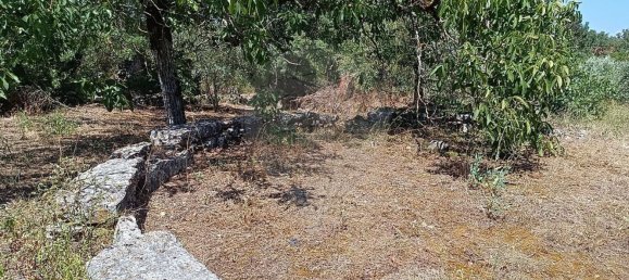 4 غرف نوم منزل في Ansiao, Portugal رقم 171033 10