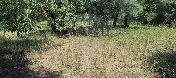 4 غرف نوم منزل في Ansiao, Portugal رقم 171033 5