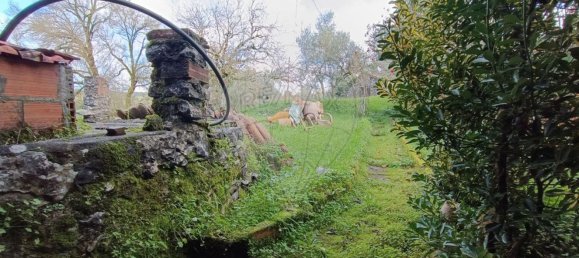 4 غرف نوم منزل في Ansiao, Portugal رقم 171033 3