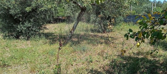 4 غرف نوم منزل في Ansiao, Portugal رقم 171033 41