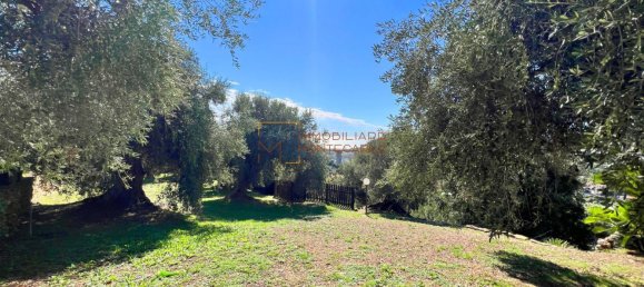 Дом с 4 комнатами в Бордигера, Италия № 181190 14