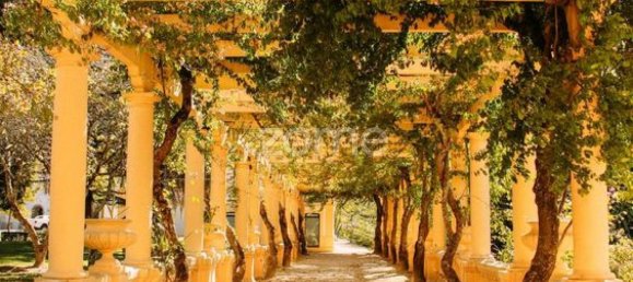 8 bedrooms House in Aradas, Portugal No. 63592 14