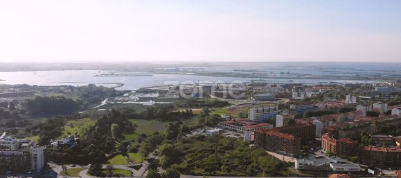 8 bedrooms House in Aradas, Portugal No. 63592 5