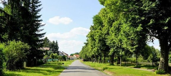 Terrain à Markisch-Oderland, Germany No. 51504 2