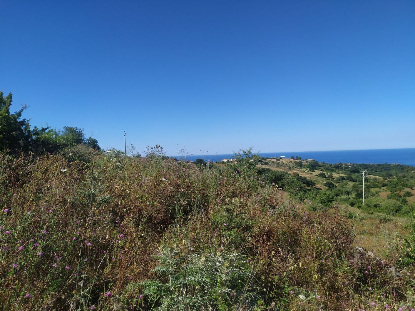 4430m² Land in Civitavecchia, Italy No. 298795