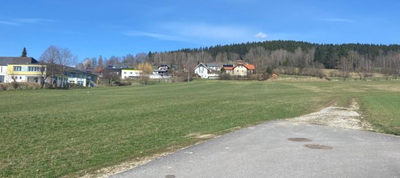 Grundstück in Grünbach, Austria 2307m², Nr. 33864 6