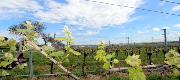 3 bedrooms House in Hagenbrunn, Austria No. 14976 41