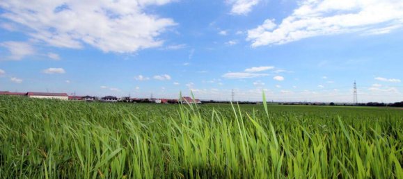 3 bedrooms House in Hagenbrunn, Austria No. 14976 40