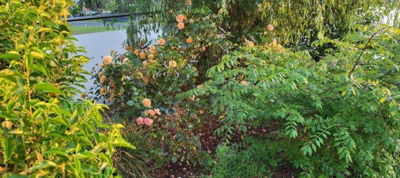 9 rooms House in Ostermiething, Austria No. 259524 10