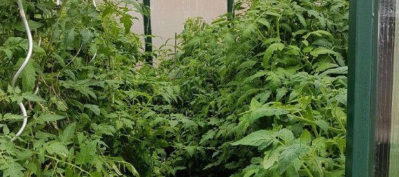 9 rooms House in Ostermiething, Austria No. 259524 20