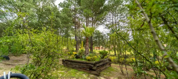 7 Schlafzimmer Haus in Quinta do Conde, Portugal, Nr. 91598 14