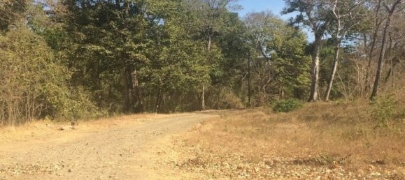 Land in Santa Cruz, Costa Rica No. 1951 2