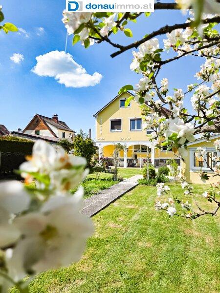 8-salle Maison de ville à Gmund, Austria No. 181146